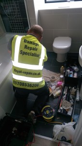 Damage Repair Specialist