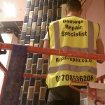 Damage Repair Specialist