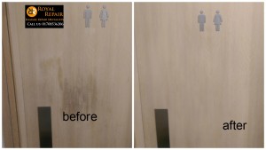 Toilet  Door repairs London city