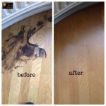 Burn Flooring repairs London